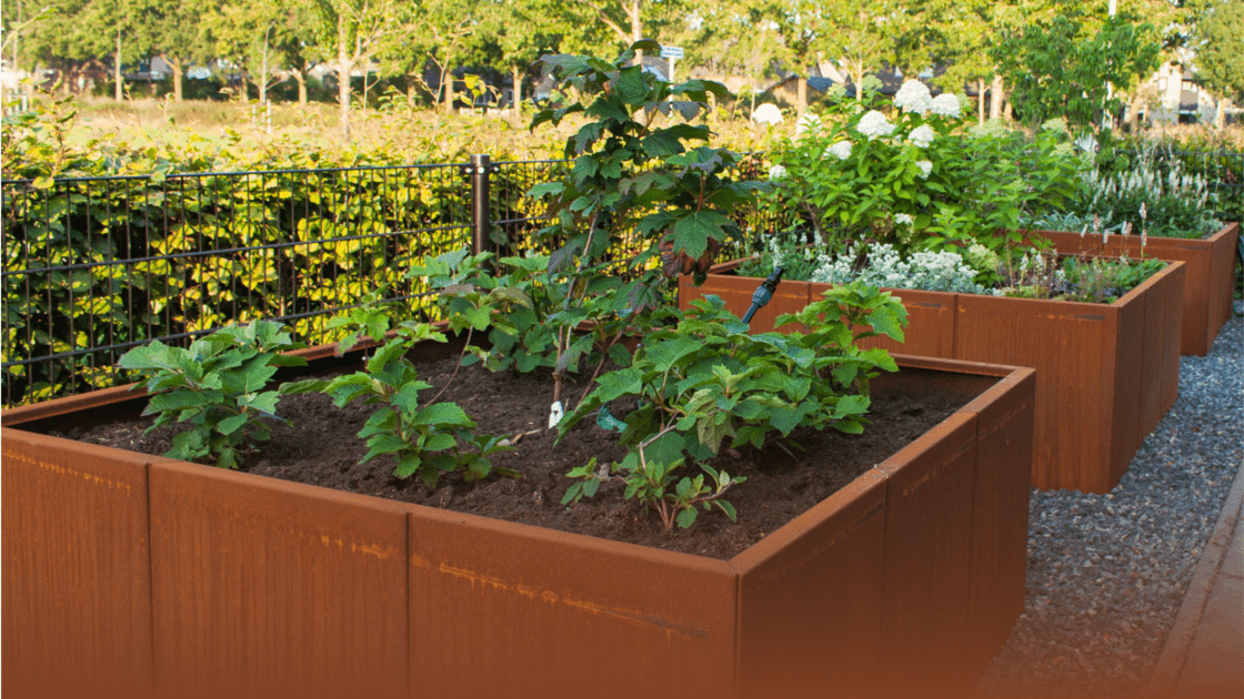 Acero corten en proyectos de paisajismo contemporáneo